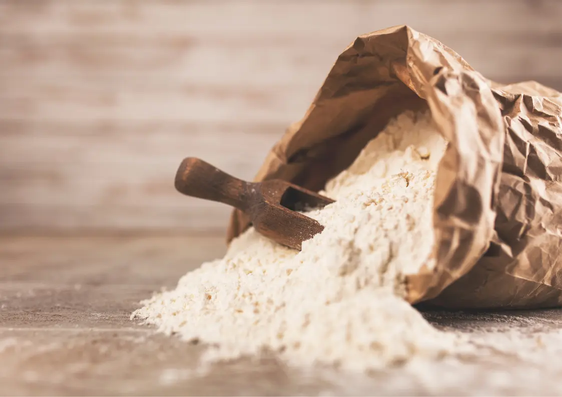 Cirons dans un placard alimentaire et différence avec les cirons du fromage en Belgique