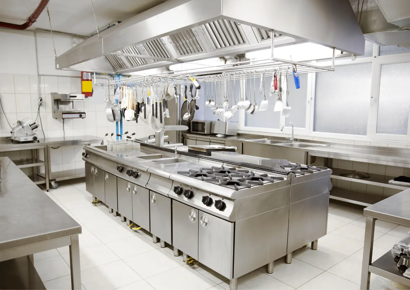 Cuisine professionnelle de restaurant exposée aux rats, souris, cafards et blattes en Belgique