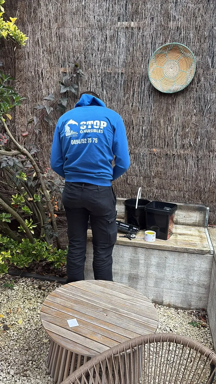 Stop O Nuisibles intervient auprès des particuliers, professionnels et établissements Horeca en Belgique