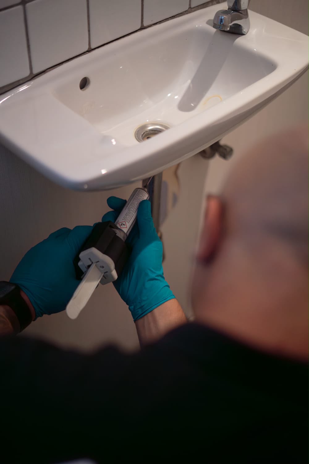 Cafards pouvant s’installer dans une maison ou un appartement en Belgique